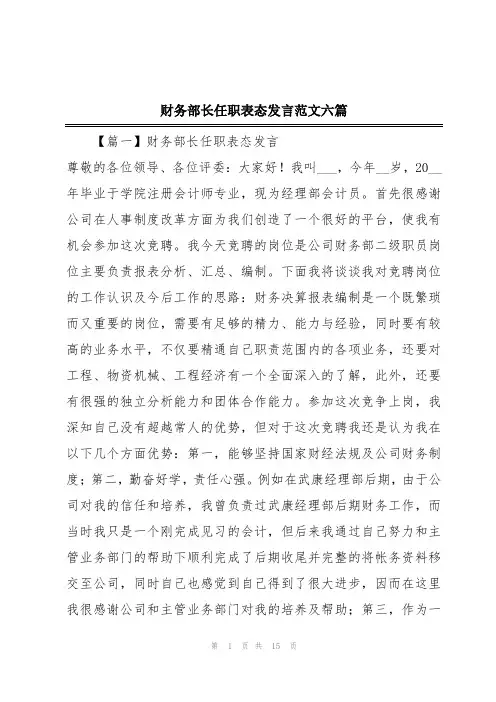 财务部长任职表态发言范文六篇