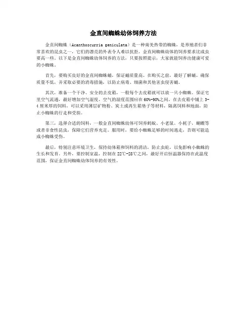 金直间蜘蛛幼体饲养方法