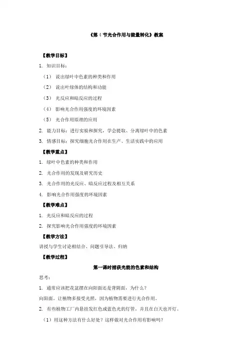 《第4节 光合作用与能量转化》教案和导学案.docx