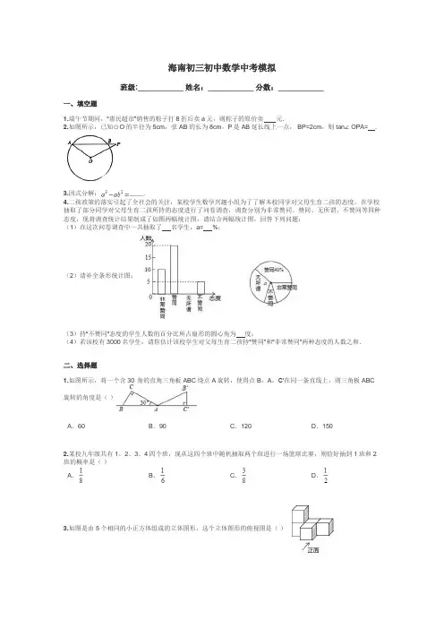 海南初三初中数学中考模拟带答案解析
