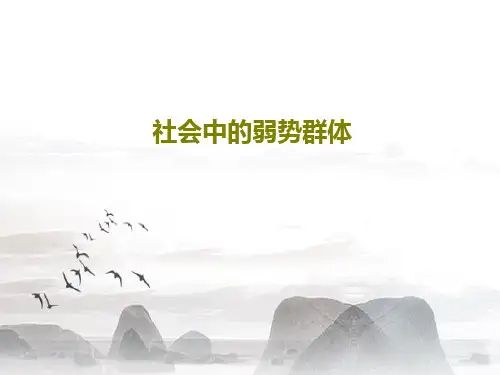 社会中的弱势群体共23页文档