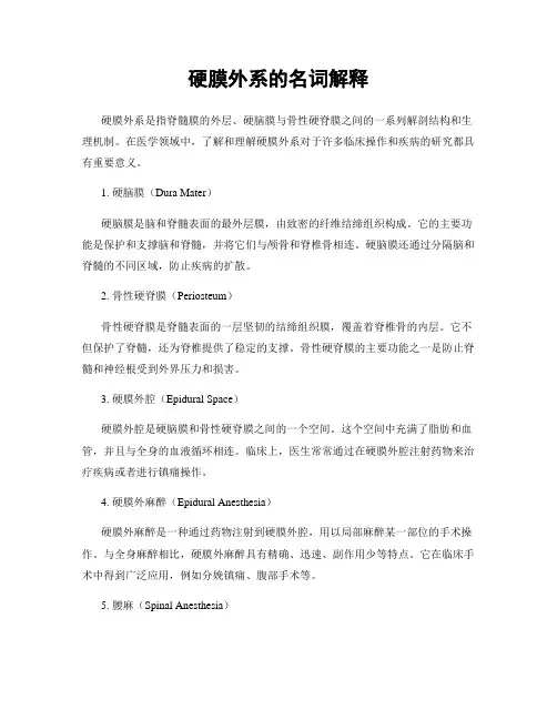 硬膜外系的名词解释