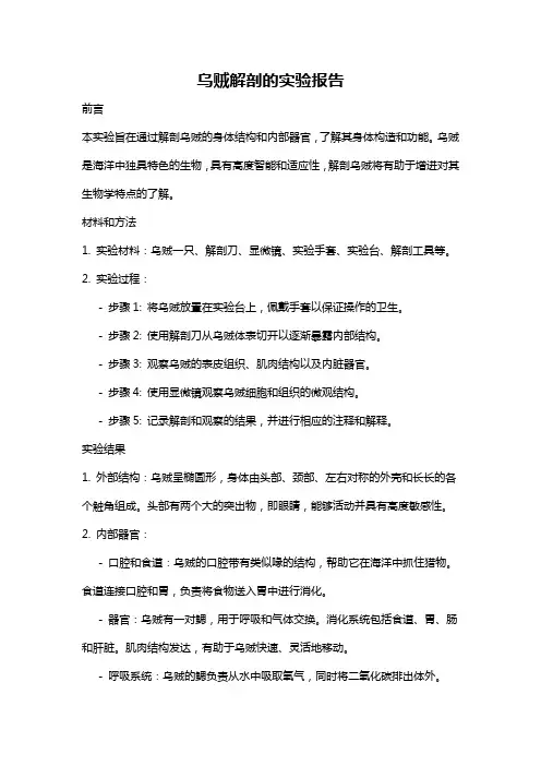 乌贼解剖的实验报告