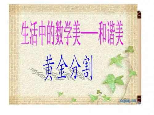 生活中的数学美——和谐美