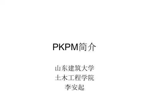 PKPM简介