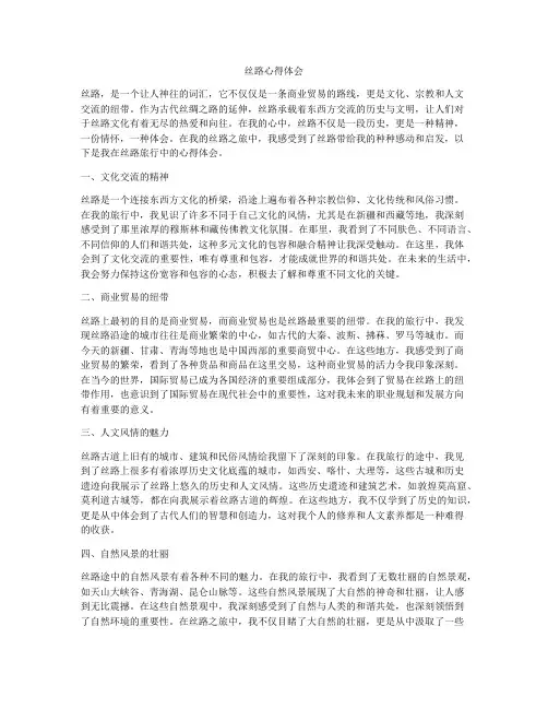 丝路心得体会