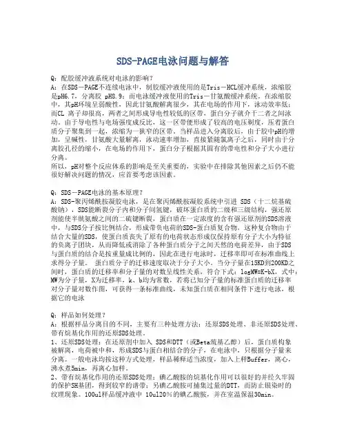 SDS-PAGE电泳问题与解答