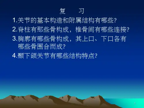 上肢骨和下肢骨连结ppt课件