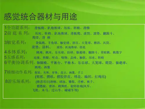 感觉统合训练方案(共41张PPT)