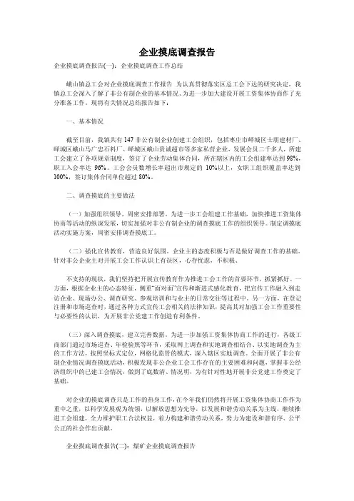 企业摸底调查报告