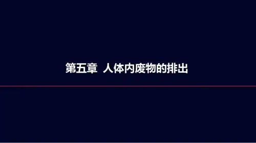 人教版七年级下册第五章《人体内废物的排出》课件(共16张PPT)