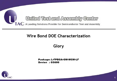 WB DOE report template