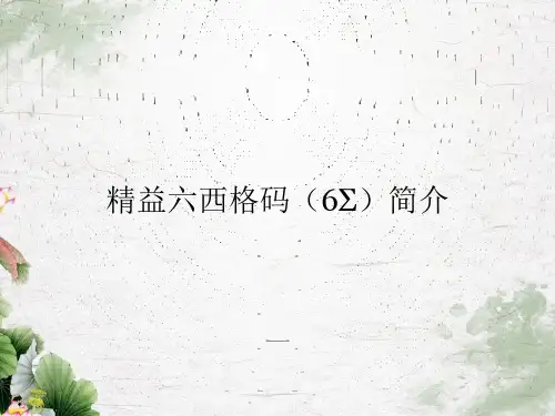 精益六西格码(6σ)简介   以下关于精益六西格玛的陈述,不正确的是