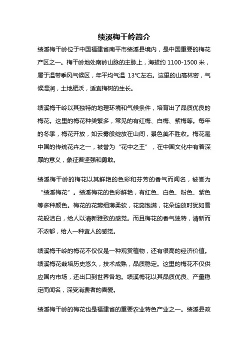 绩溪梅干岭简介