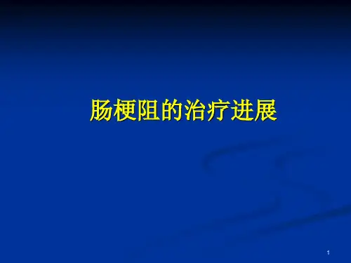 肠梗阻的治疗进展ppt演示课件