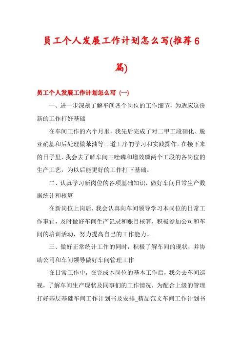 员工个人发展工作计划怎么写(推荐6篇)