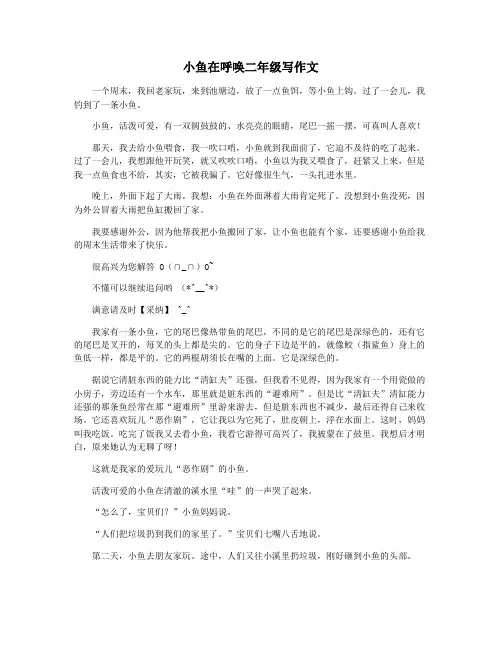 小鱼在呼唤二年级写作文