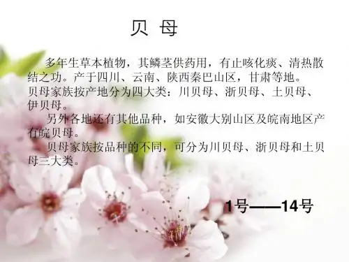 贝母