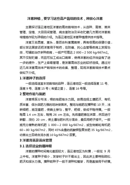洋葱种植，要学习这些高产栽培的技术，种放心洋葱