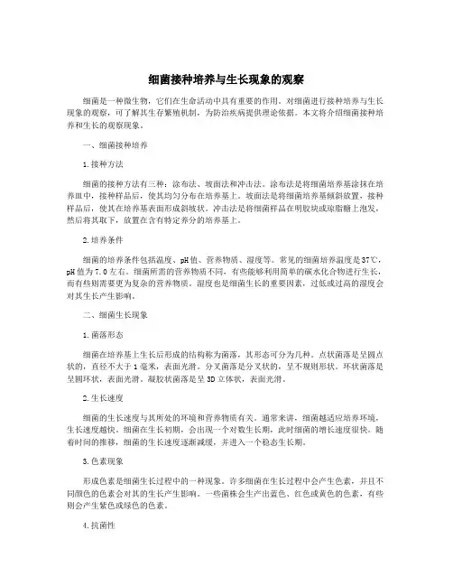 细菌接种培养与生长现象的观察