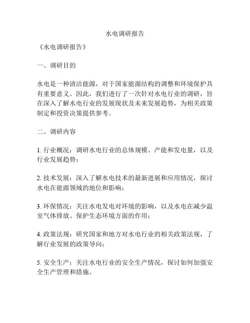 水电调研报告