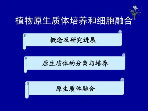 原生质体培养与融合