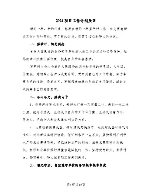 2024项目工作计划展望(三篇)