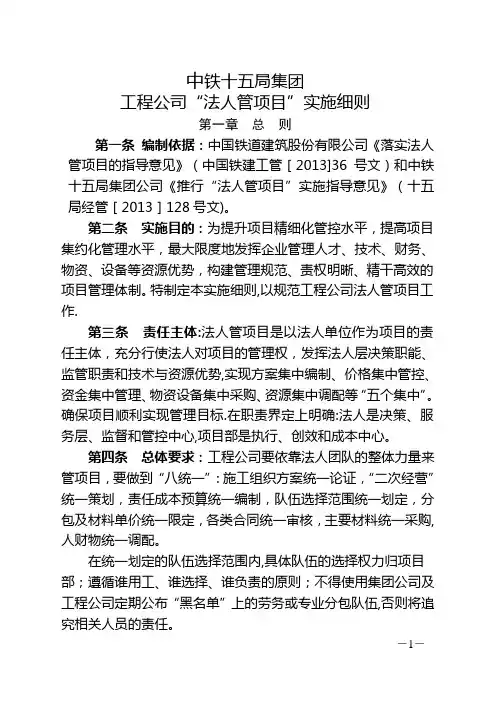 工程公司法人管项目实施细则