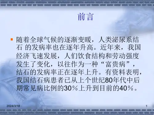 结石分析报告讲义ppt课件