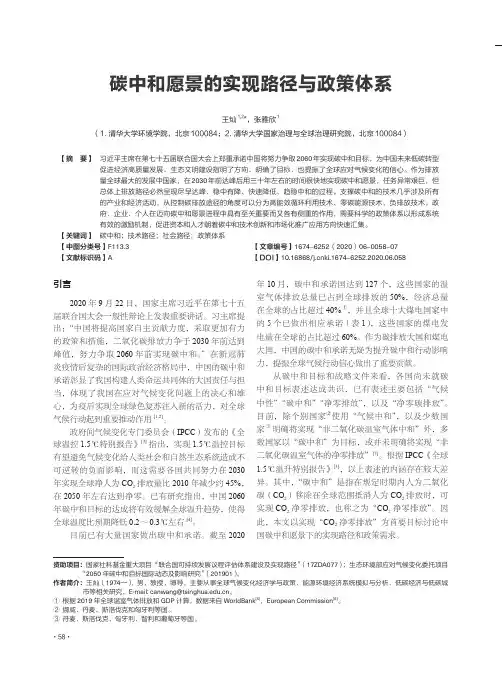 碳中和愿景的实现路径与政策体系