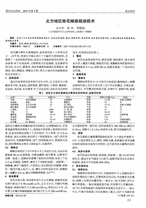 北方地区桂花嫁接栽培技术