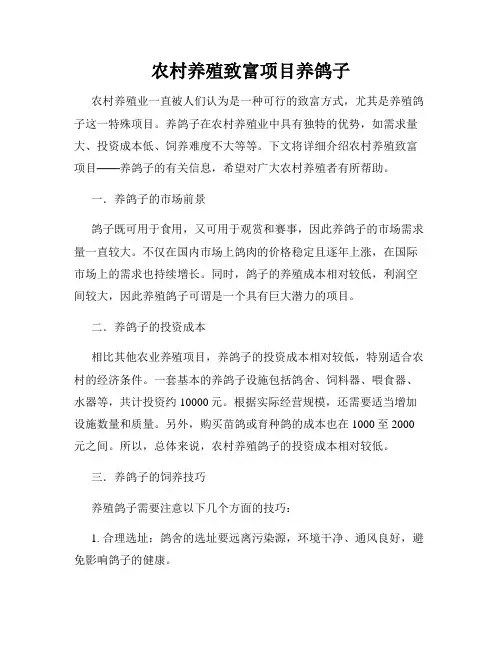 农村养殖致富项目养鸽子