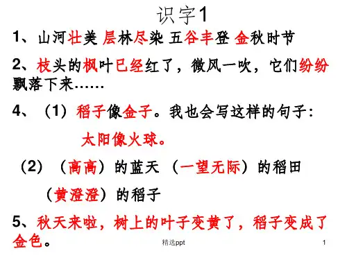 人教版二年级上语文练习册答案
