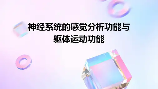 神经系统的感觉分析功、4神经系统的躯体运动功能