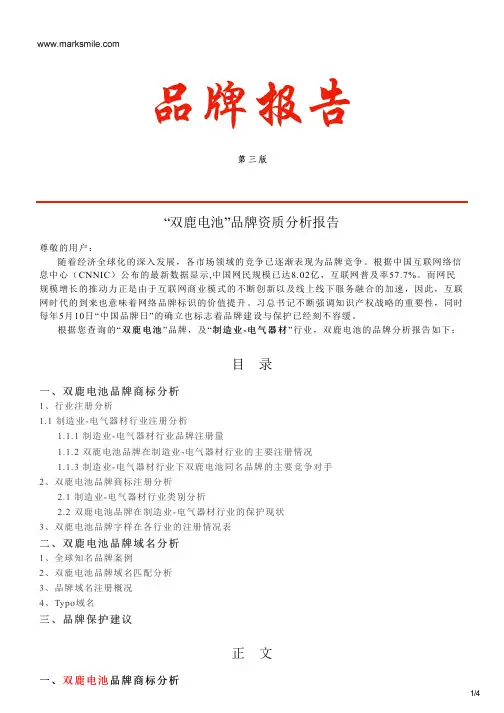 双鹿电池的品牌资质分析报告