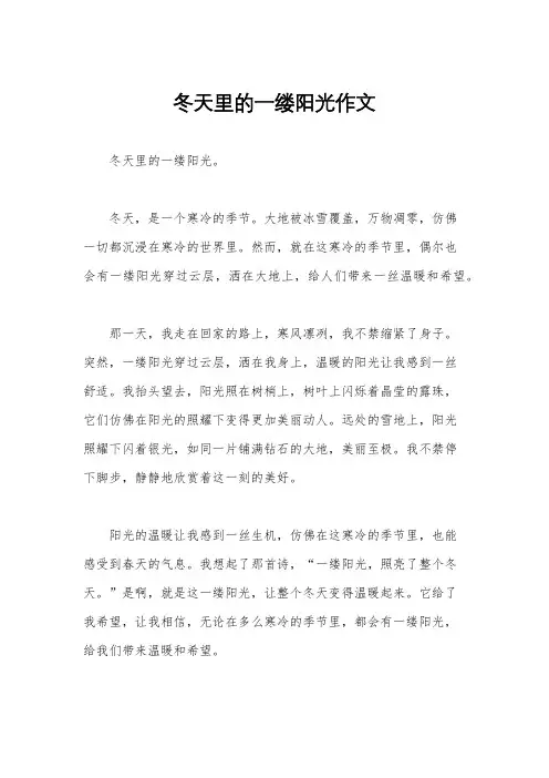 冬天里的一缕阳光作文