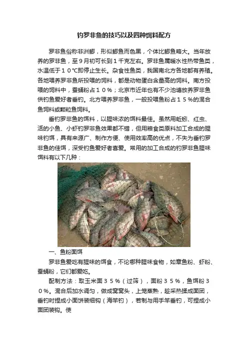 钓罗非鱼的技巧以及四种饵料配方
