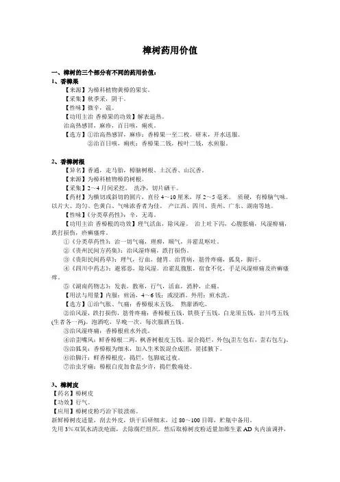 樟树药用价值