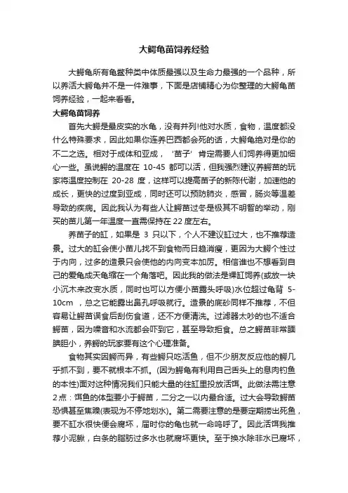 大鳄龟苗饲养经验