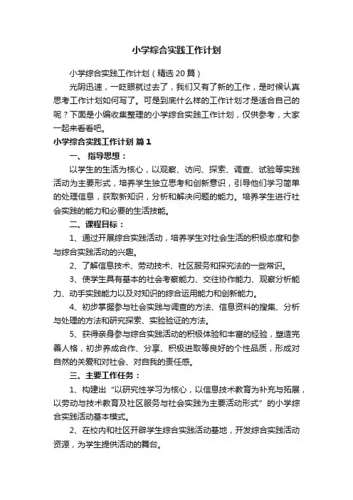 小学综合实践工作计划