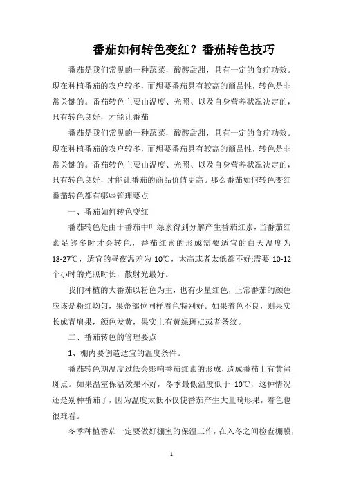 番茄如何转色变红？番茄转色技巧