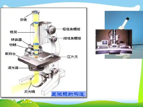 细胞概述_1-课件