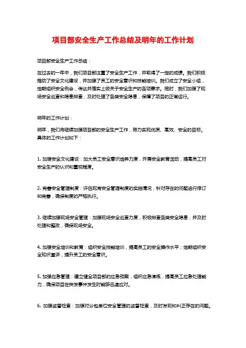 项目部安全生产工作总结及明年的工作计划