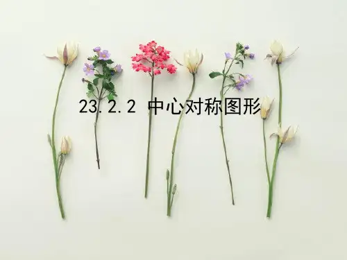 中心对称图形PPT教学课件