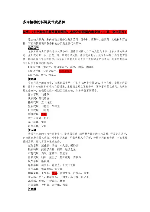 多肉植物的科属及代表品种