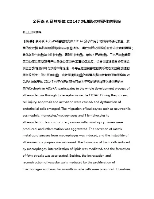 亲环素A及其受体CD147对动脉粥样硬化的影响