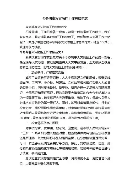 今冬明春火灾防控工作总结范文（精选13篇）