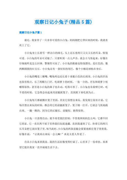 观察日记小兔子(精品5篇)