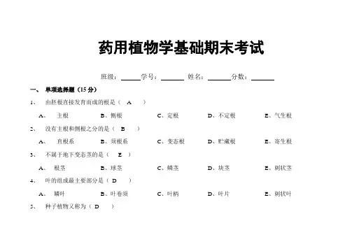 药用植物学期末考试答案卷 Microsoft Word 文档