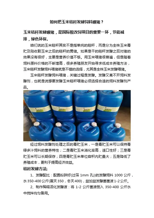 如何把玉米秸秆发酵饲料喂猪？